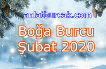 Boğa Burcu Şubat 2020