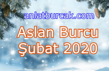 Aslan Burcu Şubat 2020