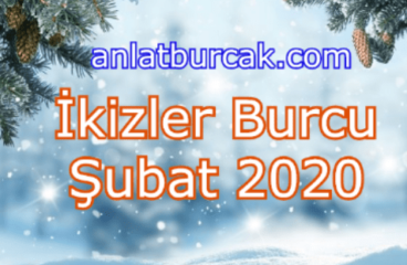 İkizler Burcu Şubat 2020