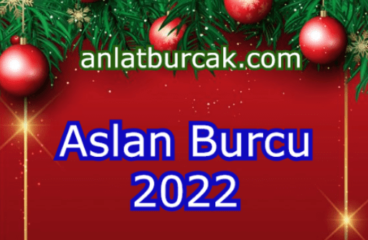 Aslan Burcu 2022