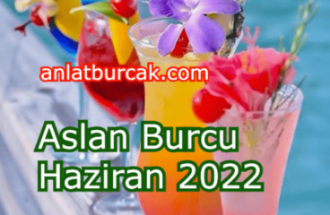 Aslan Burcu Haziran 2022