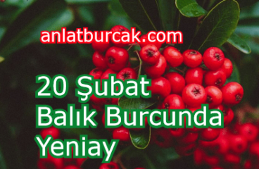 20 Şubat 2023 Balık Burcunda Yeniay