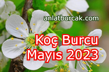 Koç Burcu Mayıs 2023