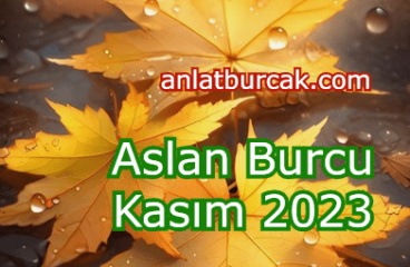 Aslan Burcu Kasım 2023