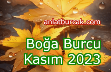 Boğa Burcu Kasım 2023 – İlişkilerde Değişimler Var