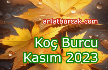 Koç Burcu Kasım 2023 – Ateşi Söndürmenizi İstiyor Kasım