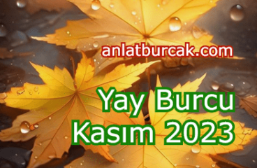 Yay Burcu Kasım 2023