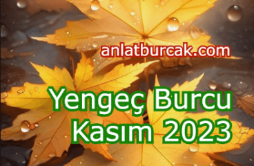 Yengeç Burcu Kasım 2023