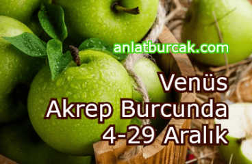 Venüs Akrep Burcunda 4-29 Aralık 2023