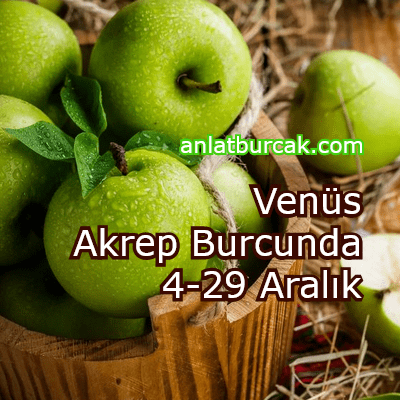 Venüs Akrep Burcunda 4-29 Aralık 2023