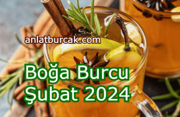 Boğa Burcu Şubat 2024