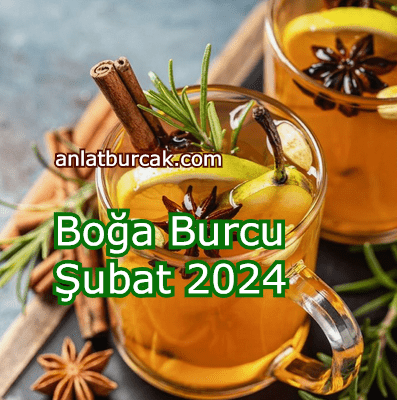 Boğa Burcu Şubat 2024