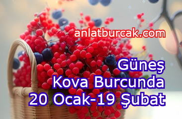 Güneş Kova Burcunda 20 Ocak-19 Şubat 2024