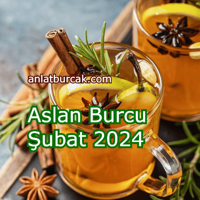 Aslan Burcu Şubat 2024