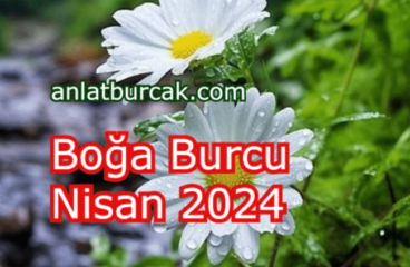 Boğa Burcu Nisan 2024