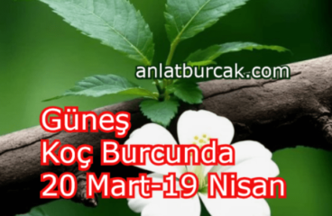 Güneş Koç Burcunda 20 Mart-19 Nisan 2024