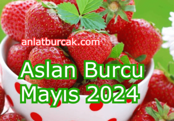 Aslan Burcu Mayıs 2024