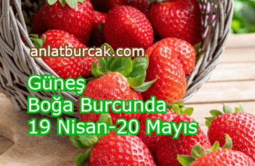 Güneş Boğa Burcunda 19 Nisan-20 Mayıs 2024