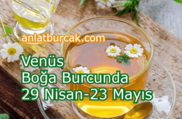 Venüs Boğa Burcunda 29 Nisan-23 Mayıs 2024