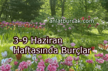 3-9 Haziran 2024 Haftasında Burçları Neler Bekliyor ?