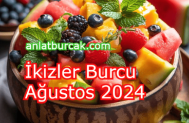 İkizler Burcu Ağustos 2024
