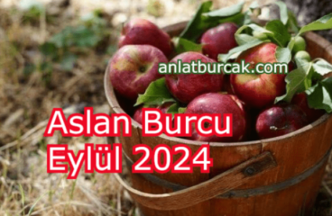 Aslan Burcu Eylül 2024