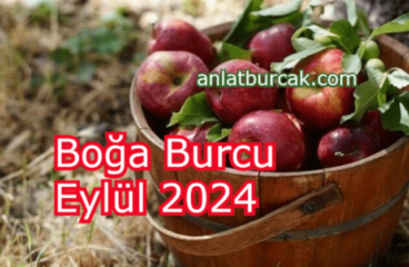 Boğa Burcu Eylül 2024