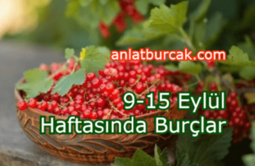 9-15 Eylül 2024 Haftasında Burçları Neler Bekliyor ?