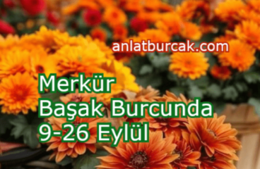 Merkür Başak Burcunda 9-26 Eylül 2024