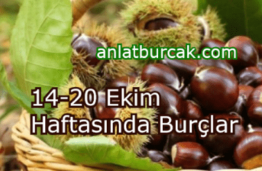 14-20 Ekim 2024 Haftasında Burçları Neler Bekliyor ?