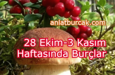 28 Ekim-3 Kasım 2024 Haftasında Burçları Neler Bekliyor ?