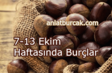 7-13 Ekim 2024 Haftasında Burçları Neler Bekliyor ?