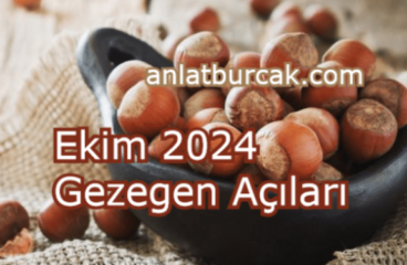 Ekim 2024 Gezegen Açıları