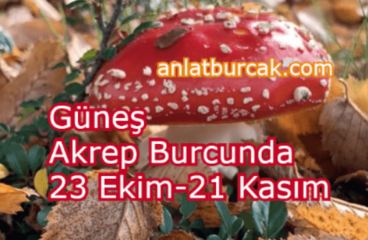 Güneş Akrep Burcunda 23 Ekim-21 Kasım 2024