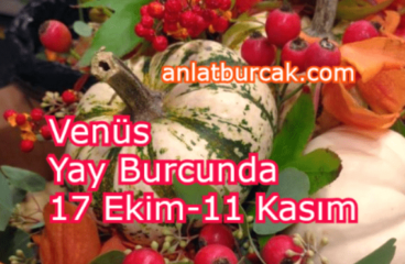 Venüs Yay Burcunda 17 Ekim-11 Kasım 2024