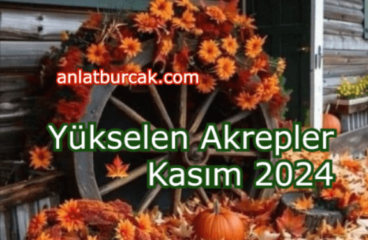 Yükselen Akrepler Kasım 2024