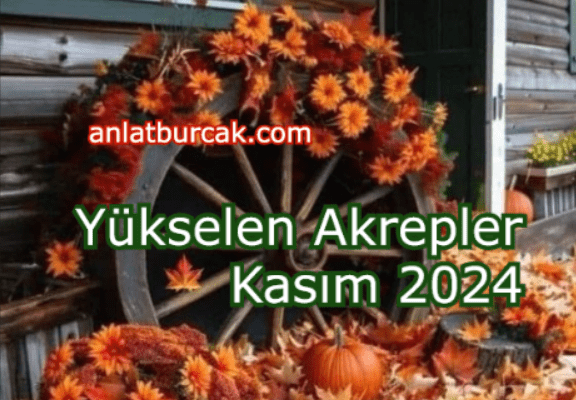 Yükselen Akrepler Kasım 2024