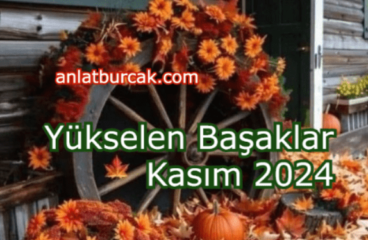 Yükselen Başaklar Kasım 2024