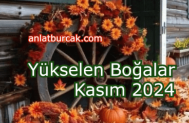 Yükselen Boğalar Kasım 2024