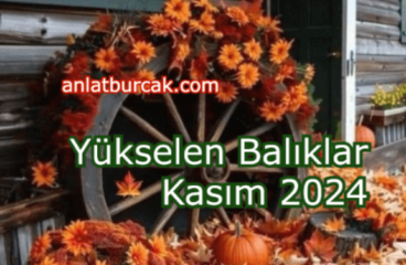 Yükselen Balıklar Kasım 2024