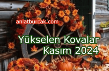 Yükselen Kovalar Kasım 2024