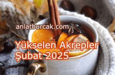 Yükselen Akrepler Şubat 2025