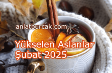 Yükselen Aslanlar Şubat 2025
