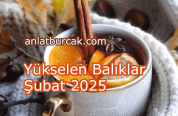 Yükselen Balıklar Şubat 2025