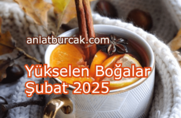 Yükselen Boğalar Şubat 2025