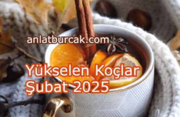 Yükselen Koçlar Şubat 2025