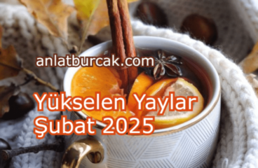 Yükselen Yaylar Şubat 2025
