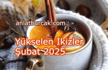 Yükselen İkizler Şubat 2025