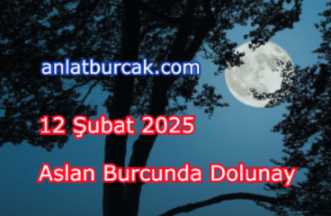 12 Şubat 2025 Aslan Burcunda Dolunay