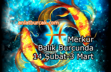 Merkür Balık Burcunda 14 Şubat-3 Mart 2025